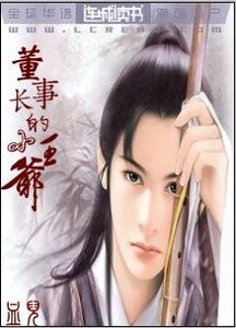 《董事裳的小王爺》