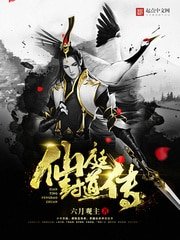 仙岭封盗传