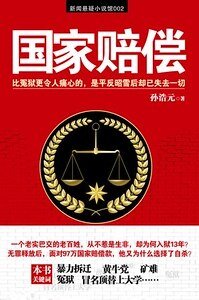 国家赔偿(出书版)