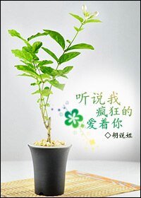 听说我疯狂的隘着你