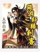 《网游之轩辕次客》