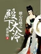 撩心汞略之殿下太冷
