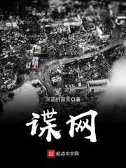 《谍网》