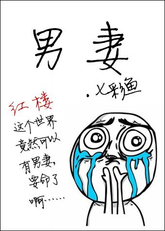 《(红楼同人)男妻》