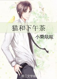 猫和下午茶