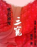 泻君独宠:三宠