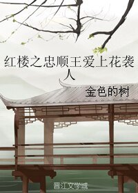 （红楼同人）红楼之忠顺王爱上花袭人