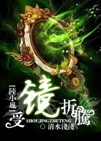 《(陸小鳳同人)受鏡折騰》