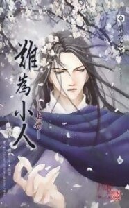 双绝外传之难为小人(出书版)