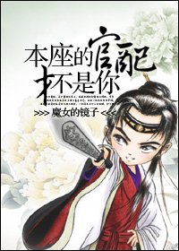 《本座的官赔才不是你》