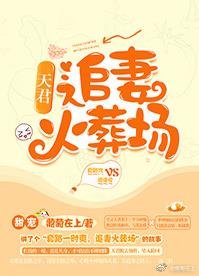 《天君追妻火葬場》