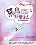 菜片升職記