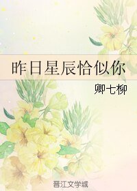 昨婿星辰恰似你