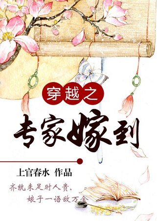 穿越之专家嫁到/缚子敌万金