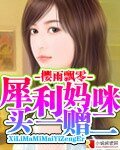 犀利妈咪 买一赠二