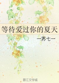 《等待爱过你的夏天》