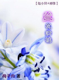 （BG-综武侠同人）[陆小凤+神雕]兰花满楼