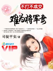 不打不成交:難為將軍妻