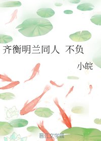 （BG/知否同人）齐衡明兰同人 不负