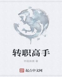 《转职高手》