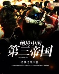 《绝境中的第三帝国》