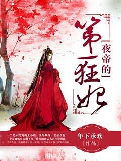 《夜帝的第一狂妃》