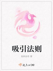 矽引法则