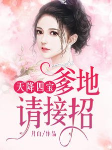 天降四宝:爹地请接招林念儿席慕寒