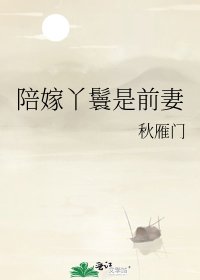 《陪嫁丫鬟是前妻》