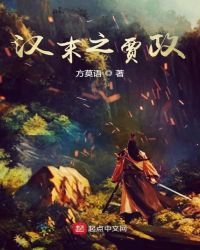 《汉末之贾政》