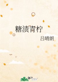 糖渍青柠