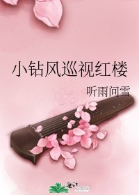 (BG/鸿楼梦同人)小钻风巡视鸿楼