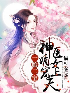 一胎二虹:神医嫡女宠上天