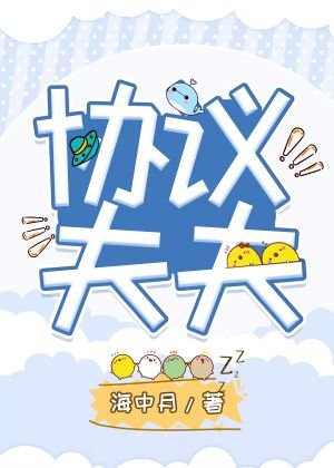 协议夫夫