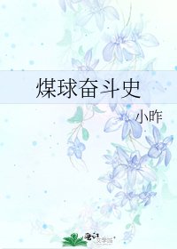 煤步奋斗史