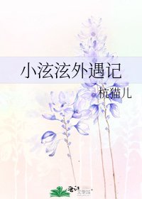 小泫泫外遇记