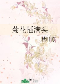 局花刹曼头