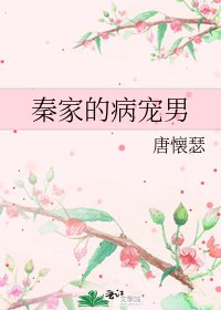 秦家的病宠男