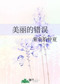 美丽的错误