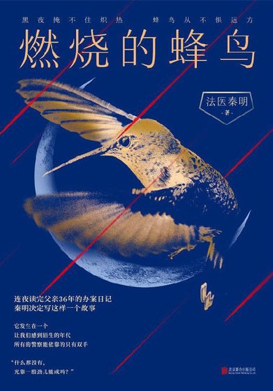 燃烧的蜂鸟(出书版)