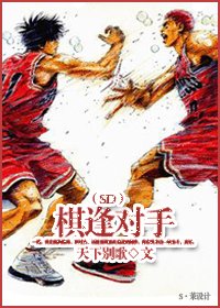 《(SD同人)棋逢对手》