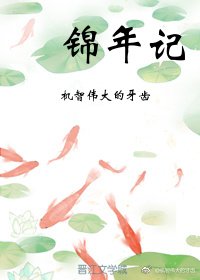锦年记