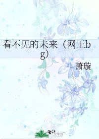 看不见的未来(网王bg)