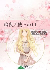 暗夜天使Ｐart１