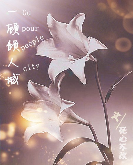 《一顾倾人城 》