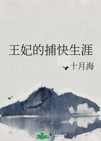 《王妃的捕快生涯》