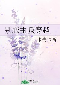 别恋曲 反穿越