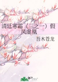 清廷寒霜(三之一)假凤虚凰