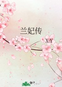 兰妃传