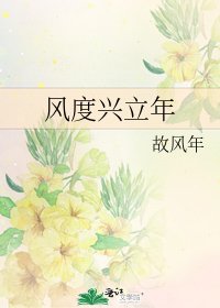 风度兴立年